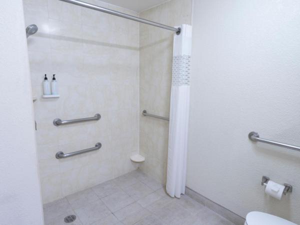 Hampton Inn by Hilton Guadalajara-Aeropuerto : photo 2 de la chambre chambre lit king-size pour personnes à mobilité réduite - non-fumeurs