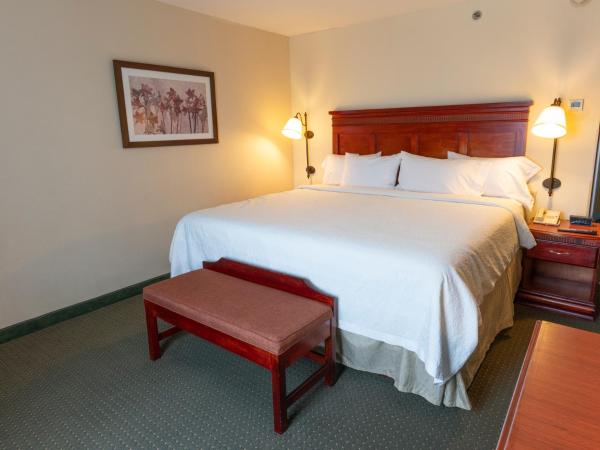 Hampton Inn by Hilton Guadalajara-Aeropuerto : photo 1 de la chambre chambre lit king-size - non-fumeurs