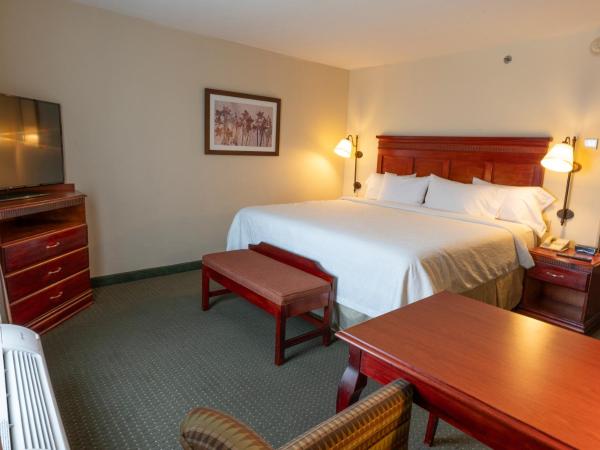 Hampton Inn by Hilton Guadalajara-Aeropuerto : photo 3 de la chambre chambre lit king-size pour personnes à mobilité réduite - non-fumeurs