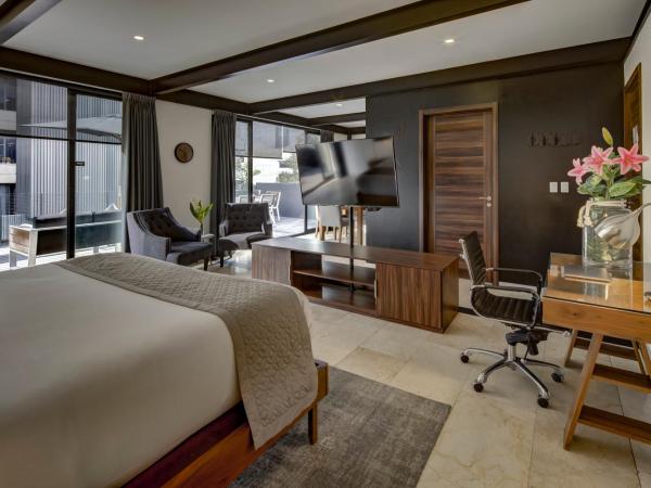 MX Grand Suites : photo 4 de la chambre appartement