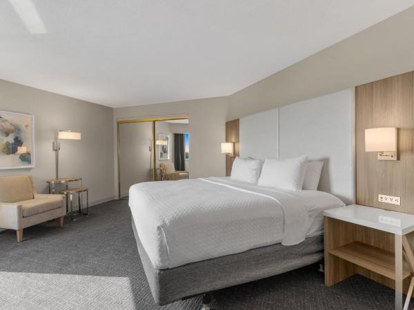 Crowne Plaza Houston Med Ctr-Galleria Area, an IHG Hotel : photo 9 de la chambre chambre lit king-size standard