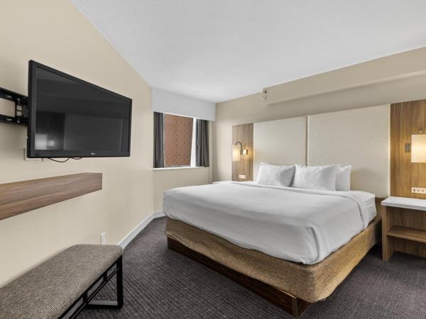 Crowne Plaza Houston Med Ctr-Galleria Area, an IHG Hotel : photo 10 de la chambre suite 1 chambre