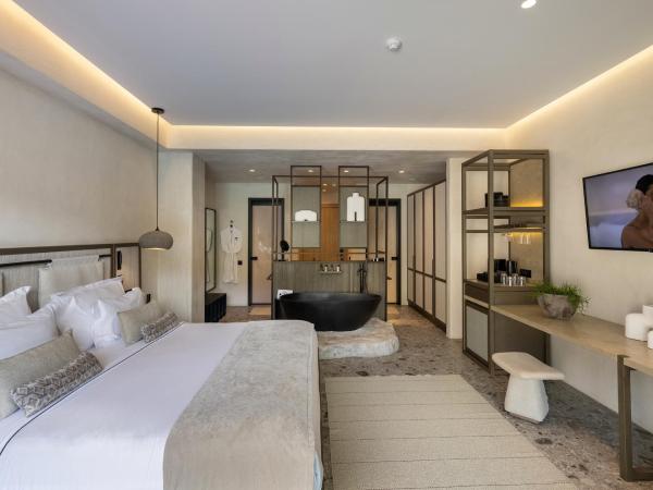 Aeonic Suites and Spa : photo 3 de la chambre suite premier côté jardin avec piscine suprême