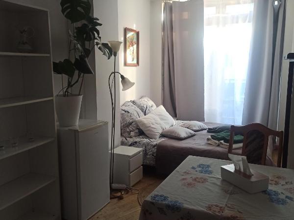 Hotel-hostel Saska : photo 2 de la chambre grande chambre double 