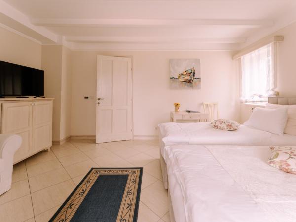 Hotel Abalone : photo 2 de la chambre chambre double ou lits jumeaux - vue sur parc