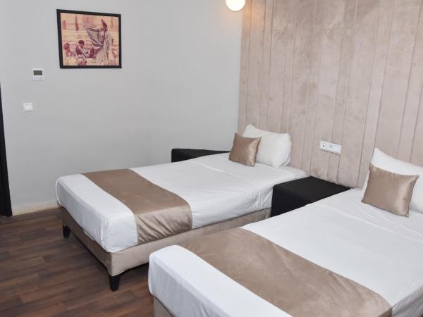 Cadé Hotel : photo 4 de la chambre chambre lits jumeaux