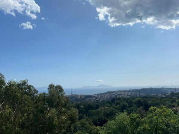 Albeli Residences : photo 3 de la chambre chambre double standard