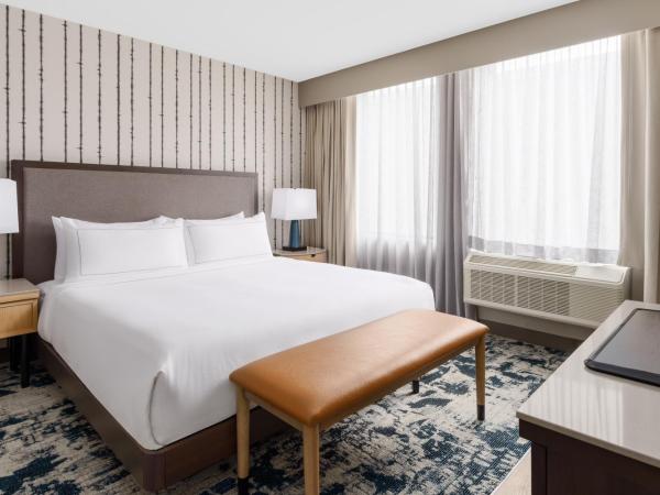 DoubleTree by Hilton Charlotte City Center : photo 5 de la chambre suite studio lit king-size