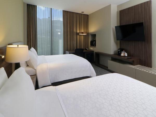 Holiday Inn Express & Suites Monterrey Valle, an IHG Hotel : photo 1 de la chambre standard king room with extra floor space