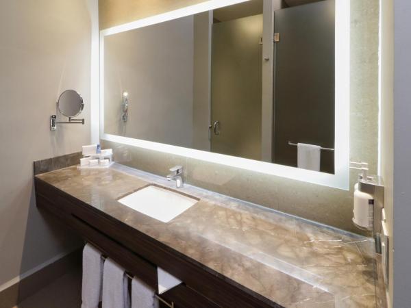 Holiday Inn Express & Suites Monterrey Valle, an IHG Hotel : photo 1 de la chambre suite junior lit king-size