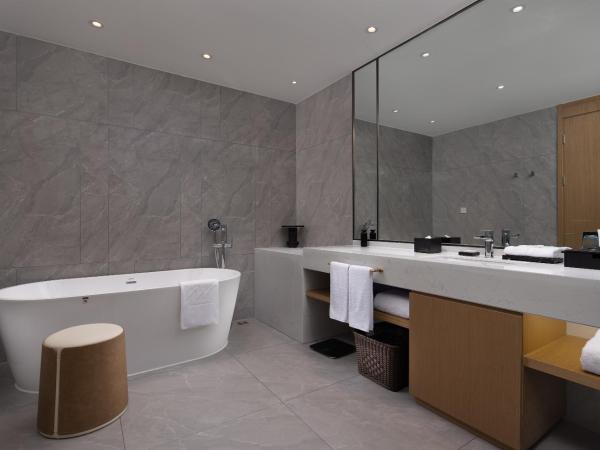 Metropark Hotel Wuhan : photo 2 de la chambre chambre lit king-size deluxe