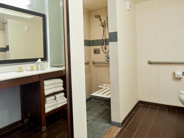 DoubleTree by Hilton Alana - Waikiki Beach : photo 4 de la chambre suite 1 chambre lit king-size avec douche accessible en fauteuil roulant