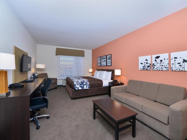 Sleep Inn & Suites Austin - Tech Center : photo 6 de la chambre suite lit king-size avec canapé-lit - non-fumeurs