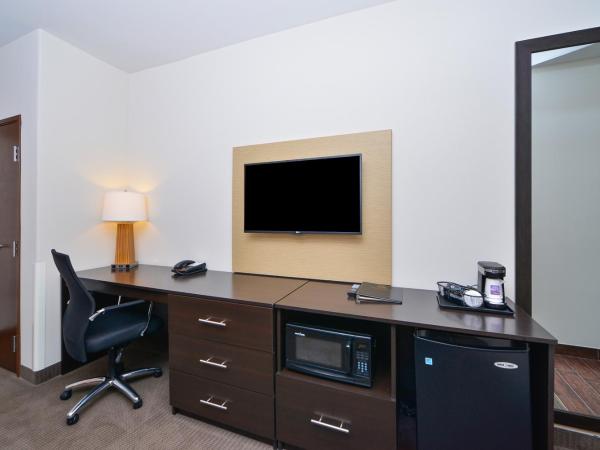 Sleep Inn & Suites Austin - Tech Center : photo 4 de la chambre suite lit king-size avec canapé-lit - non-fumeurs