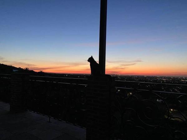 LIAPIS ESTATE Rostrevor Adelaide : photo 3 de la chambre chambre double ou lits jumeaux - vue sur ville