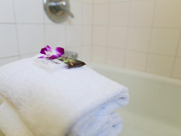 Waikiki Resort Hotel : photo 5 de la chambre chambre - vue sur ville