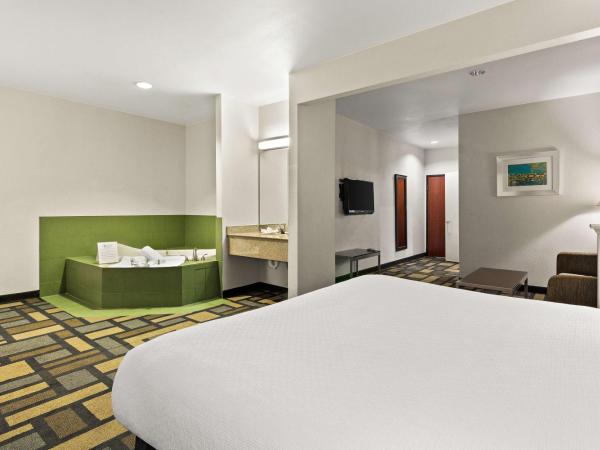 Best Western Galleria Inn & Suites : photo 2 de la chambre king suite with jetted tub/bathtub - mobility accessible/non-smoking