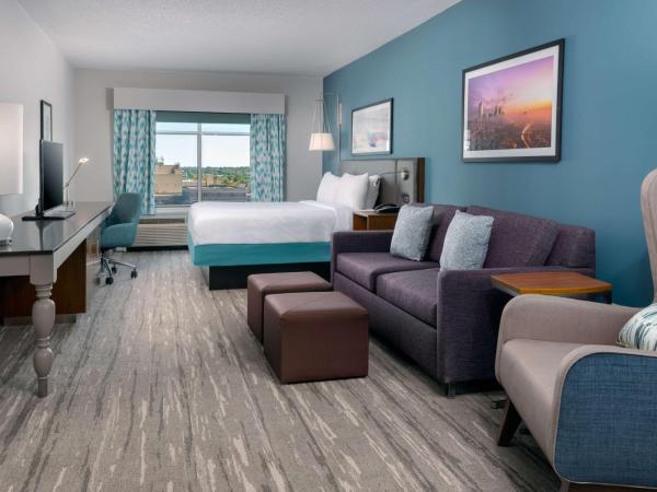 Hilton Garden Inn Charlotte Uptown : photo 2 de la chambre chambre lit king-size deluxe