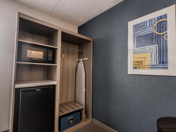 Holiday Inn Express Toronto-North York, an IHG Hotel : photo 8 de la chambre chambre lit king-size standard