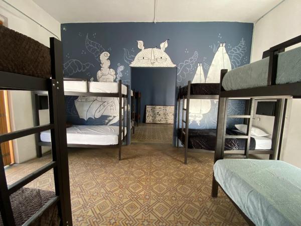 Choco Hostel : photo 3 de la chambre lits superposés dans dortoir masculin 