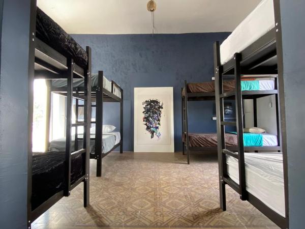 Choco Hostel : photo 10 de la chambre lit superposé dans dortoir pour femmes 