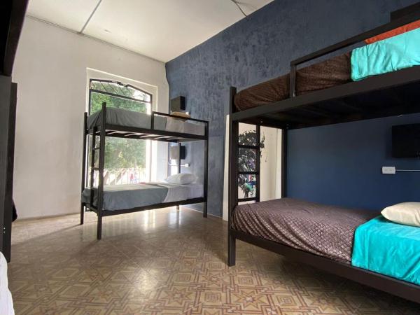 Choco Hostel : photo 4 de la chambre lits superposés dans dortoir masculin 