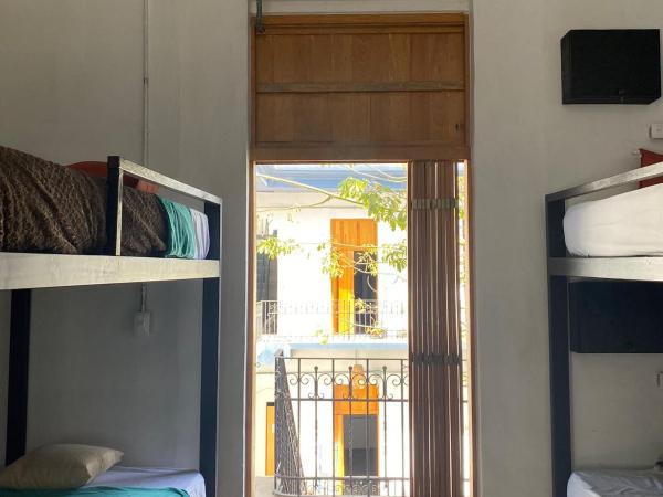 Choco Hostel : photo 4 de la chambre lit superposé dans dortoir pour femmes 