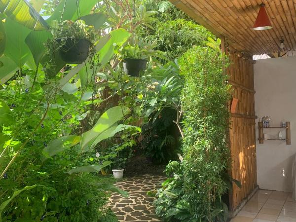 ViaVia Guesthouse : photo 7 de la chambre lit superposé dans dortoir mixte