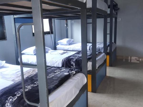 Pink City Backpackers : photo 4 de la chambre dortoir mixte