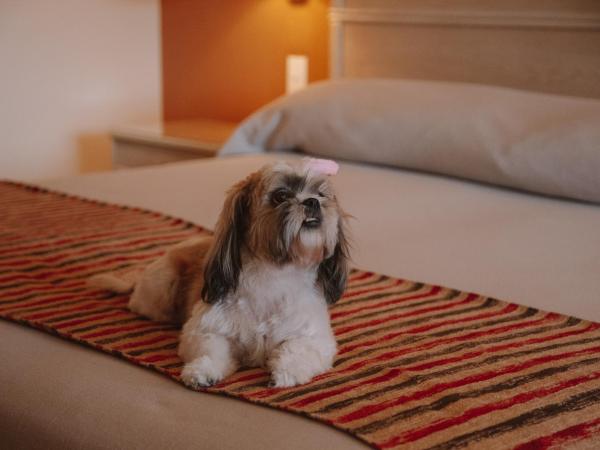 Casa Real Hotel : photo 4 de la chambre chambre deluxe double ou lits jumeaux