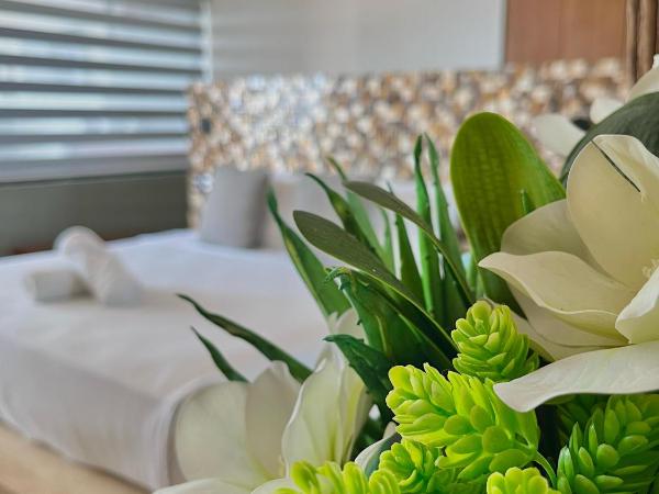 Bahia Tolok : photo 1 de la chambre suite avec terrasse