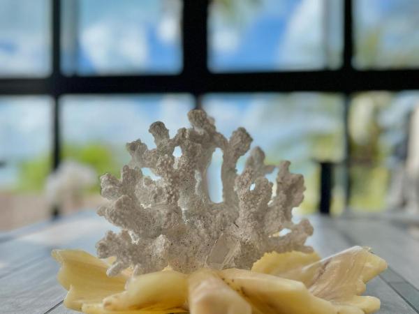 Bahia Tolok : photo 4 de la chambre suite avec terrasse