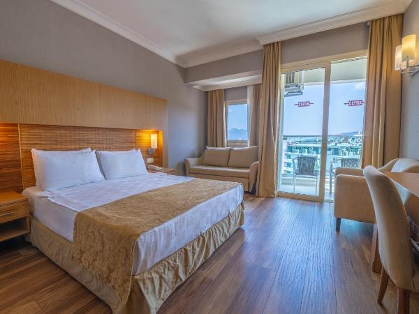 Grand Cettia Hotel : photo 4 de la chambre chambre simple