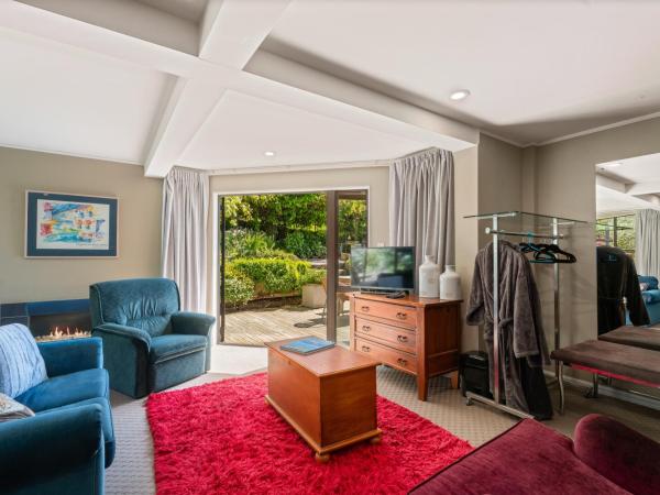 Mountain View Lodge : photo 6 de la chambre studio deluxe