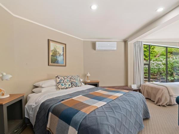 Mountain View Lodge : photo 3 de la chambre studio deluxe