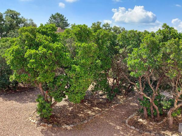 Residence Riviera : photo 9 de la chambre maison 3 chambres