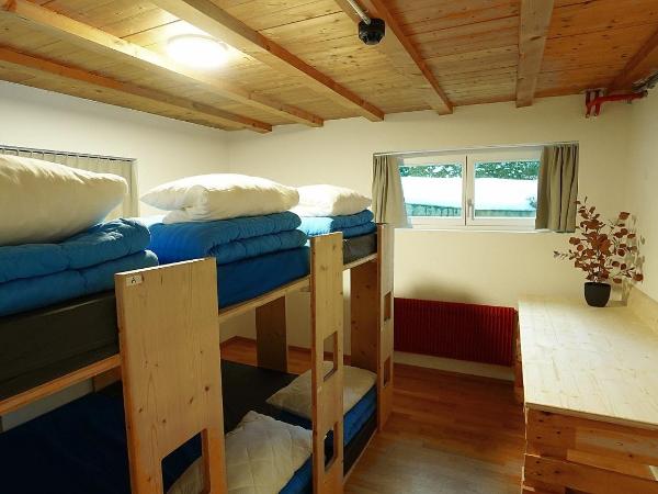 Naturfreunde Hostel Grindelwald : photo 1 de la chambre lit simple dans dortoir mixte avec salle de bains commune 