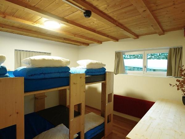 Naturfreunde Hostel Grindelwald : photo 2 de la chambre lit simple dans dortoir mixte avec salle de bains commune 