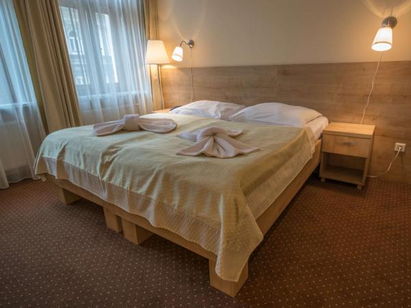 Hotel Superior Prague : photo 6 de la chambre chambre double