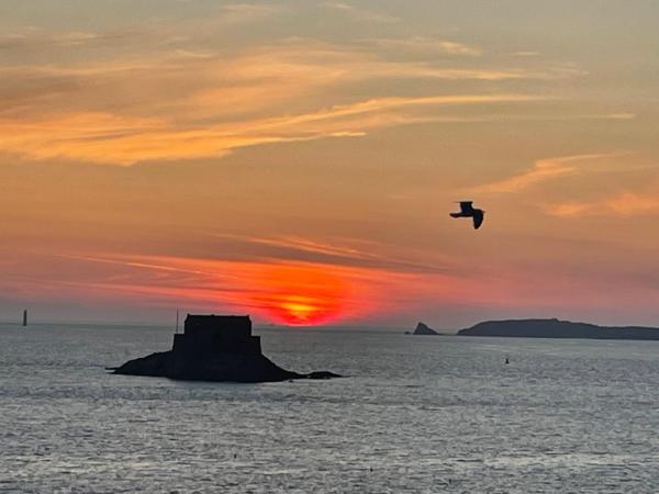 Les Chiens du Guet : photo 1 de la chambre chambre standard lit queen-size