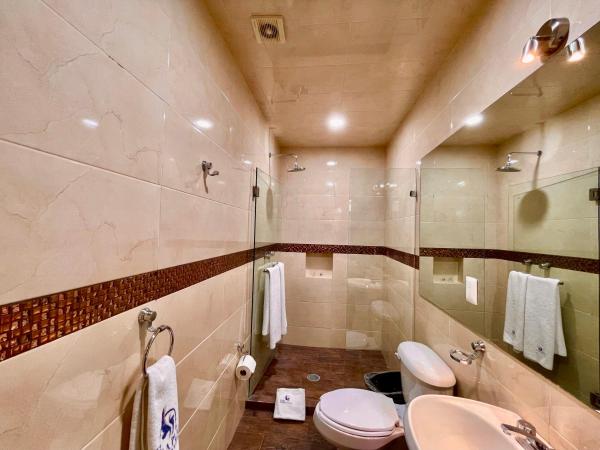 Hotel Puebla Plaza : photo 5 de la chambre suite junior deluxe