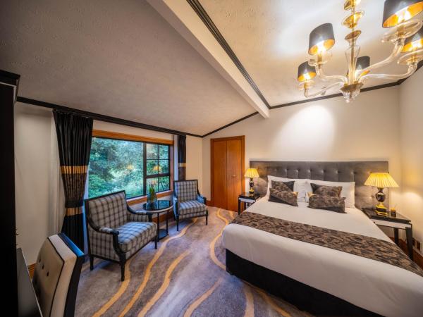 Hana Lodge : photo 3 de la chambre lodge queen superior