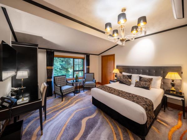 Hana Lodge : photo 2 de la chambre lodge queen superior