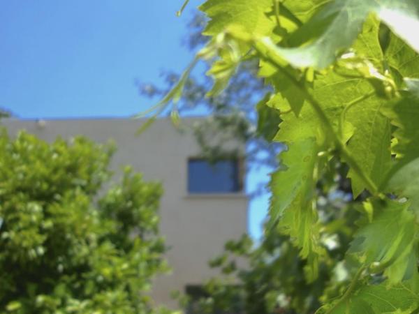 Le Clos Saint Elme : photo 2 de la chambre appartement avec terrasse (2 adultes)