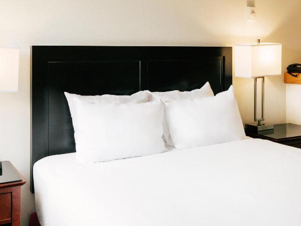 Mountain Side Hotel Whistler by Executive : photo 5 de la chambre studio lit queen-size 