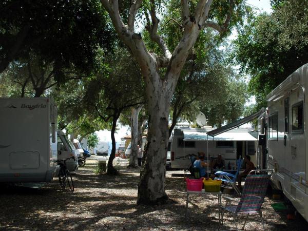 Camping Jonio : photo 1 de la chambre empty lot (bring your own caravan)