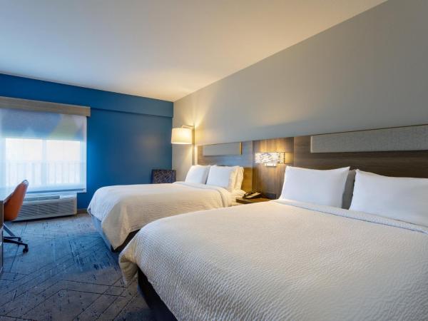 Holiday Inn Express Tampa North Telecom Park, an IHG Hotel : photo 1 de la chambre chambre standard avec 2 lits queen-size