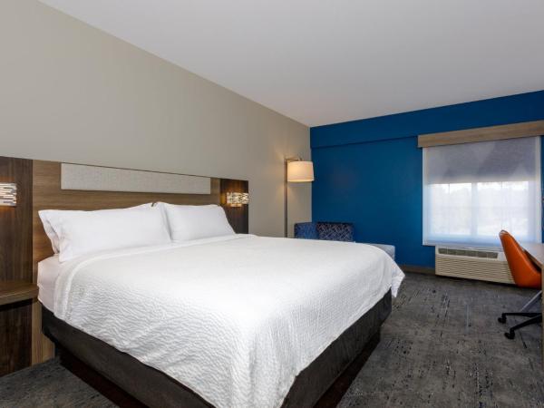 Holiday Inn Express Tampa North Telecom Park, an IHG Hotel : photo 2 de la chambre chambre lit king-size standard