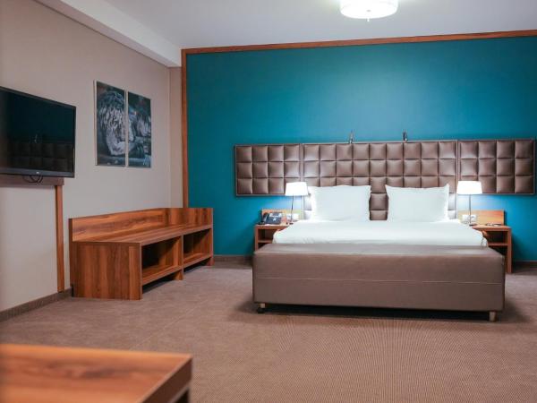 Holiday Inn Krakow City Centre, an IHG Hotel : photo 5 de la chambre suite lit king-size