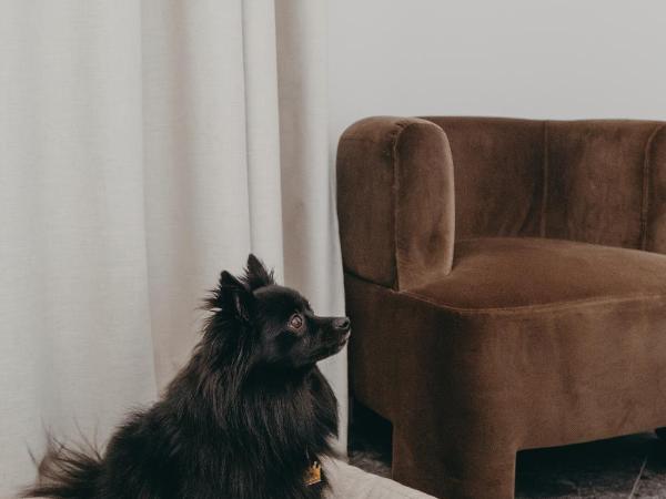 Hotel Moderne : photo 1 de la chambre chambre lit king-size supérieure